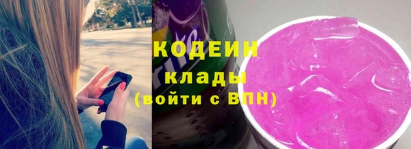 мдпв Вяземский