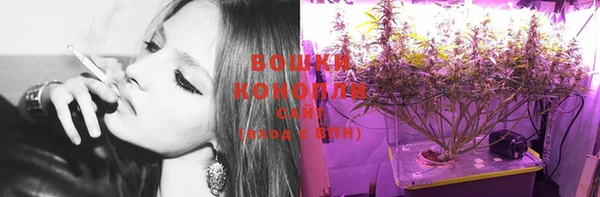 гидропоника Володарск