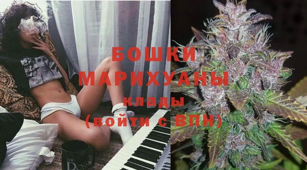 мдпв Вяземский