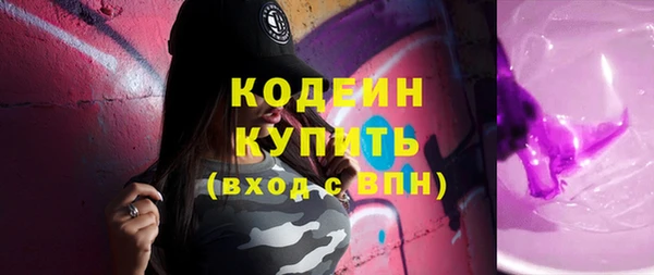 мдпв Вяземский