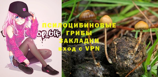 гидропоника Володарск