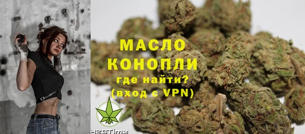 мдпв Вяземский
