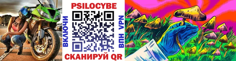 блэк спрут как зайти где купить Камбарка Псилоцибиновые грибы GOLDEN TEACHER